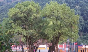 南昌天行创世纪学校官网招生信息，口碑真实测评不踩雷