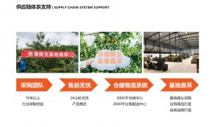 2026年好的水果加盟品牌推荐客户口碑力荐