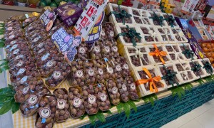 2026年靠谱的水果加盟品牌挑选全攻略