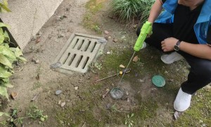 清除马蜂窝哪家合适？服务商团队实力与客户真实体验盘点