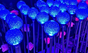 2026年园林地插投灯工厂质量参考评选