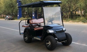 交流系统高尔夫观光车 72V大功率配置 球场工程用车支持OEM贴牌