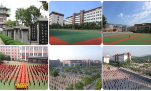 四川靠谱的少林武校招生服务电话用户力荐，2026年行业全景分析
