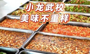 河南全封闭文武学校电话、河南的文武学校招生办电话、河南正规的文武学校电话行业现状与选择指南