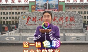 有名少林武校报名电话，知名学院选择指南