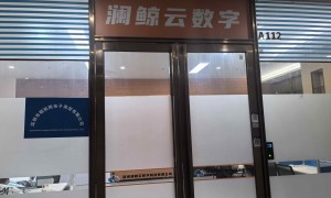 东莞AI获客实力机构挑选全攻略：行业观察与实务选择参考