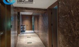 广西振鹏建材｜15年源头工厂，碳晶板门墙柜同色定制，国内外双厂区直供