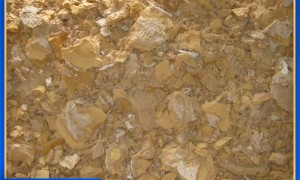 徐州恒昌轻工机械制造厂：找有304不锈钢包覆机架的啤酒酵母压榨机推荐厂家