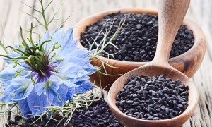 黑种草籽油质检报告与品牌合作源头厂家实力之选，用料扎实广受信赖