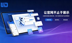 伟度网络GEO优化供应商服务覆盖实力与客户真实体验口碑