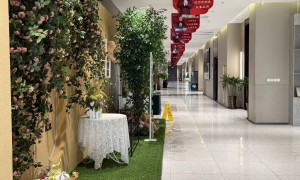 沧州婚宴酒店哪家好，一站式婚礼宴会服务商推荐，婚宴酒席报价透明不套路