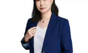 2026年靠谱的刑事法律顾问咨询公司/法律咨询处/债务法律咨询服务商选购参考汇总