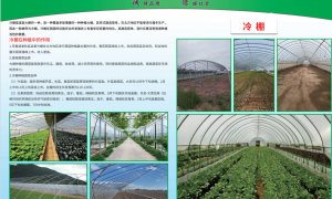 广东光伏支架品牌供应商实力与用户口碑深度解析
