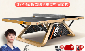 2026年靠谱的双鱼乒乓球台展梦3供应商推荐，学校采购