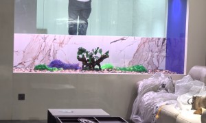 海鲜池定做厂家实力参考，行业全景分析