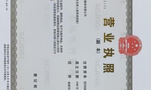 2026年靠谱的微型轴承厂家、微型轴承企业、能做密封形式定制的微型轴承企业合作实力参考