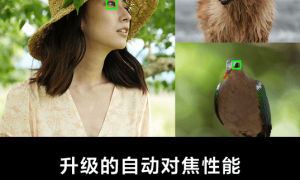 2026年靠谱的影视拍摄器材服务商盘点，客户口碑力荐
