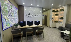 郑州市住德地产业主口碑：正规中介服务商实力参考
