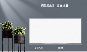 2026年邵阳铝扣板吊顶老牌厂家靠谱商家测评排名