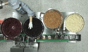 黄山坚果加工厂怎么挑？从资质到口碑，这5家正规厂家值得关注