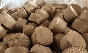 生物质颗粒燃料哪家好 源头生产厂家口碑推荐