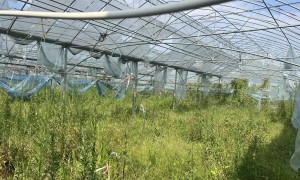 2026年温州精品PO膜加工销售厂哪个值得选 铭丰塑膜实力参考
