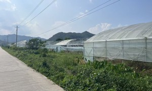 吉安正规排名前五的转光农膜制造厂家有哪些