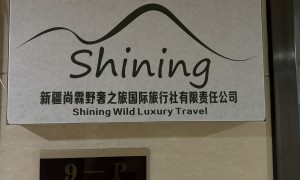 新疆伊犁草原蜜月定制旅行服务商筛选名录：省心不踩坑