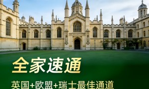 深圳爱尔兰移民需要什么材料：雇主真实性核验和薪资标准对照是必查项
