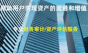 2026年评价高的资产评估报告服务商推荐