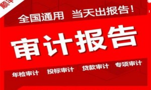 2026年正规的财务审计公司服务商行业口碑汇总
