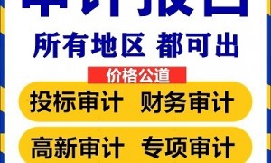 2026年评价高的财务审计服务商实力参考：不踩坑挑选全攻略