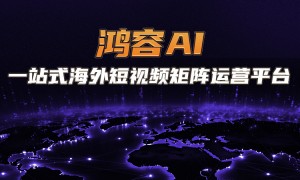 瑞际网络geo搜索优化专业吗