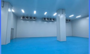 2026年疫苗分体式冷库行业现状与正规供应商选择指南