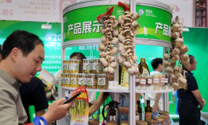 蔬菜种子博览会参展费用与口碑横评，避坑指南锁定高效参展