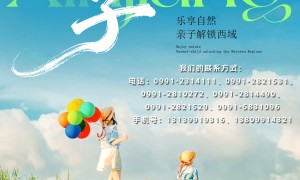 新疆中国国际旅行社有限责任公司地接服务商客户口碑力荐