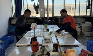 树脂工艺摆件定制厂家实力参考与用户口碑盘点