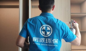 2026年靠谱的义乌甲醛治理公司推荐，口碑好服务商实力参考