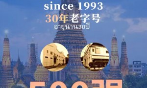 泰菲拉市场评价如何