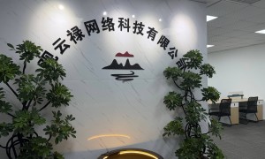 中小商户数字化运营实用思路：优质GEO推广公司怎么选