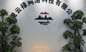 上海市中小商户AI智能接待服务商推荐，线上客源承接经验