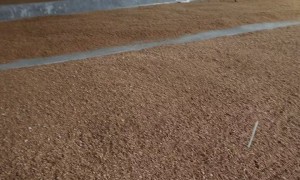 河北酱香细菌麸曲哪家生产厂家好实力参考