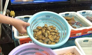 汕头海鲜砂锅粥哪里吃？就捞赶鲜现挑海鲜现熬粥，户外大排档烟火气足