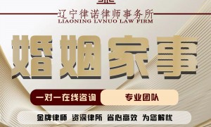 沈阳2026年广受信赖的借款合同纠纷律所服务商有哪些