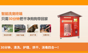 江苏数宠科技发展有限公司规模怎么样