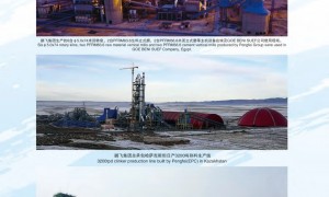 江苏鹏飞集团股份有限公司客户认可吗