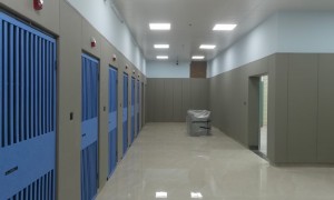 广东省找能做防撞软包采购的生产厂家筛选名录