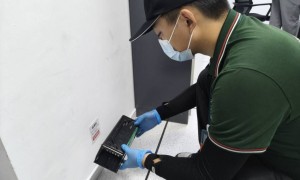 2026年口碑好的上门除虫灭鼠服务商推荐，灭鼠上门服务不踩坑
