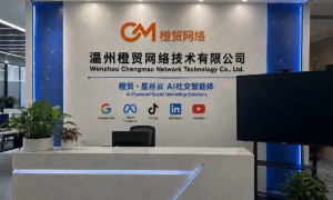 2026年热门的海外社媒代运营Snapchat代运营服务商选购参考汇总