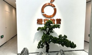 南京市AI搜索引流服务商合作实力参考与客户真实体验口碑